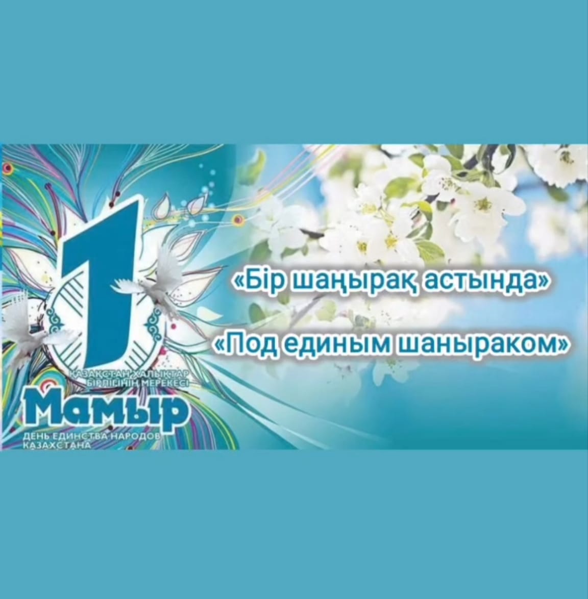 whatsapp image 2026 06 08 at 16.32.48 (1)